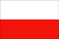 polish